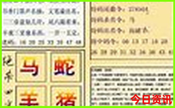2025澳门特马开